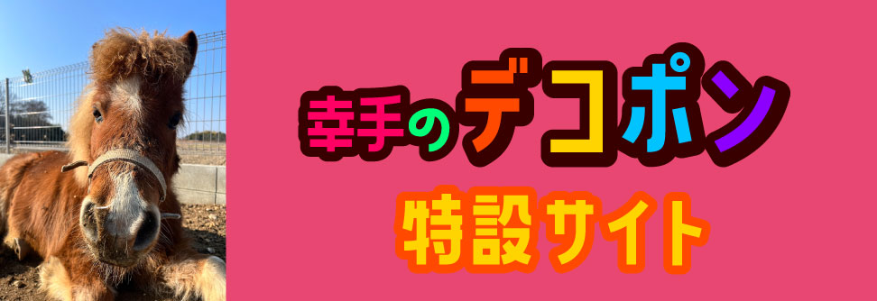 幸手のデコポン特設サイト