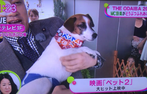 フジテレビ「ノンストップ」