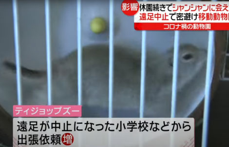 日テレ系news every