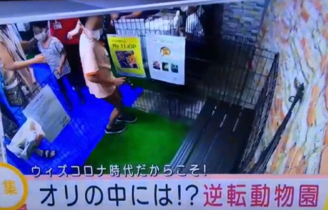 テレビ朝日スーパーJチャンネル