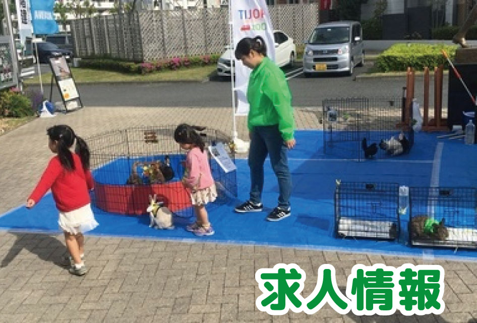 TIJOPZOO求人情報